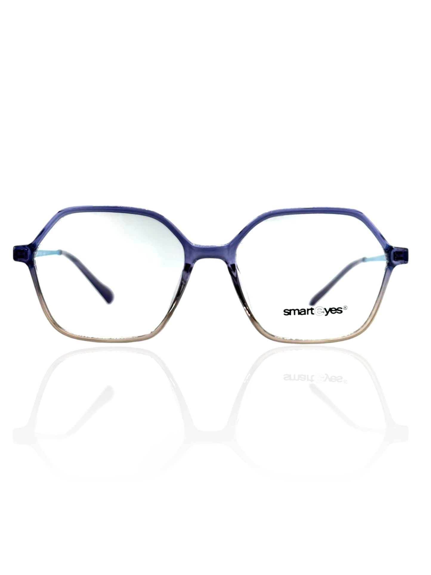 SMARTEYES 202303 C6 51