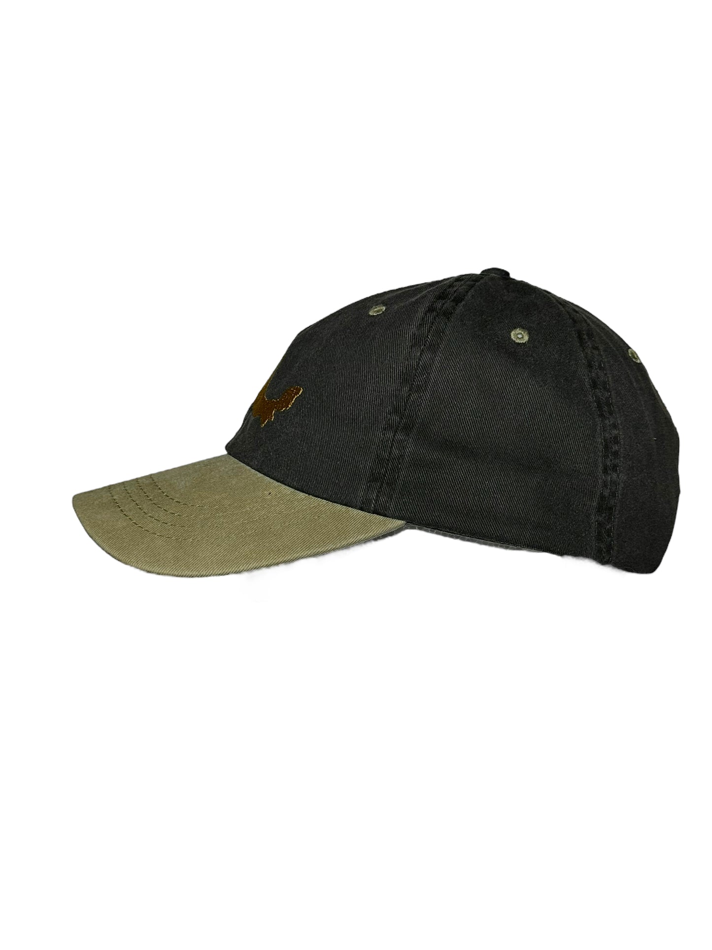 Gorra Brillen Verde/Khaki/Dorado